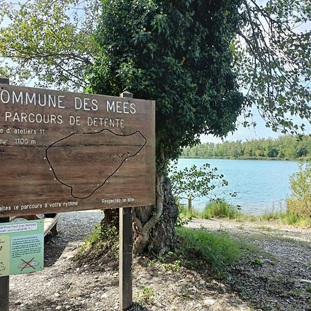 Bas De Villa Neuf En Provence Avec Piscine Mallemoisson Zewnętrze zdjęcie